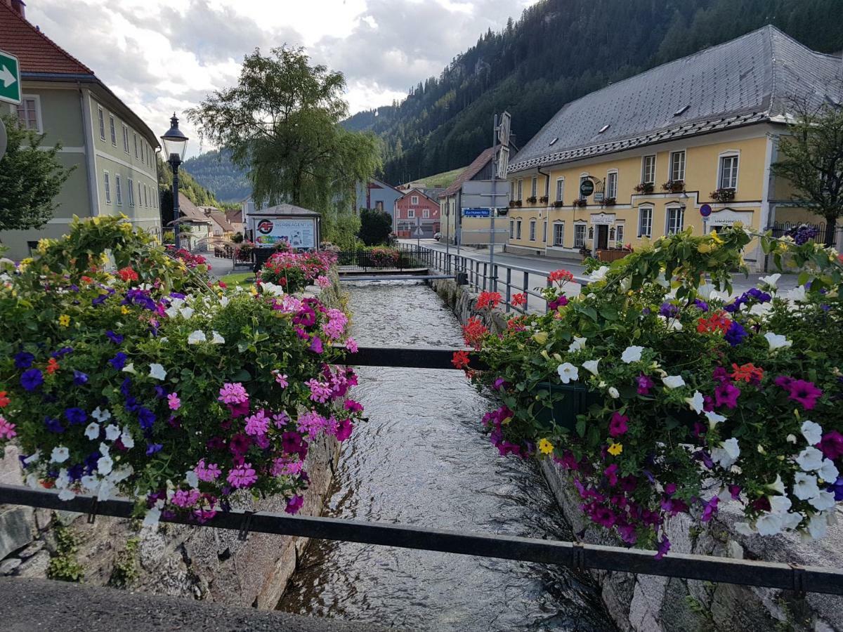 Vermietung Ronner Vordernberg المظهر الخارجي الصورة
